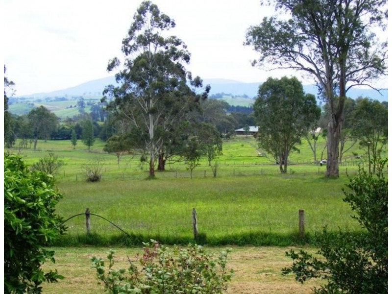 39  Nullica Rd, Tarraganda NSW 2550