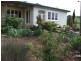 369 Collins Rd, Numeralla NSW 2630