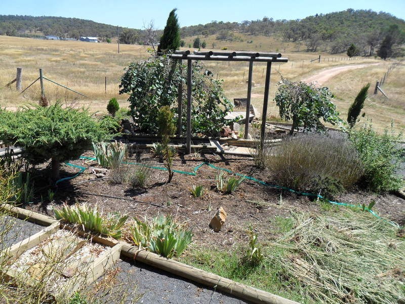 369 Collins Rd, Numeralla NSW 2630