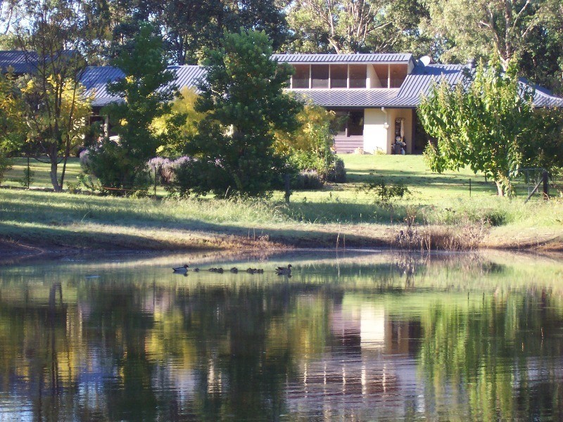 49 Annabelle Close, Wolumla NSW 2550