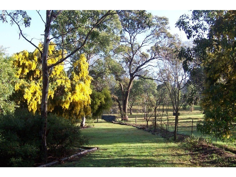 49 Annabelle Close, Wolumla NSW 2550