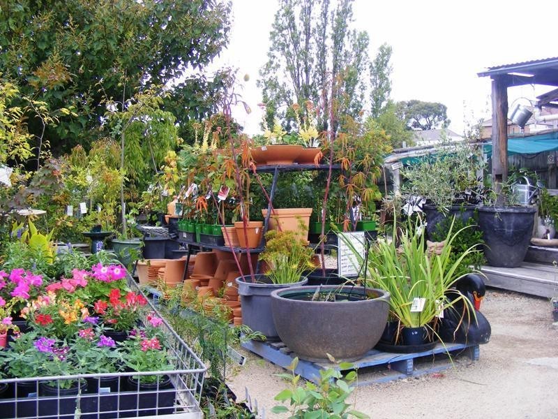 32-34 Church St, Bega NSW 2550