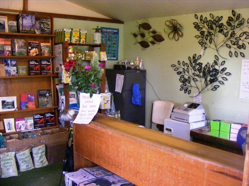 32-34 Church St, Bega NSW 2550