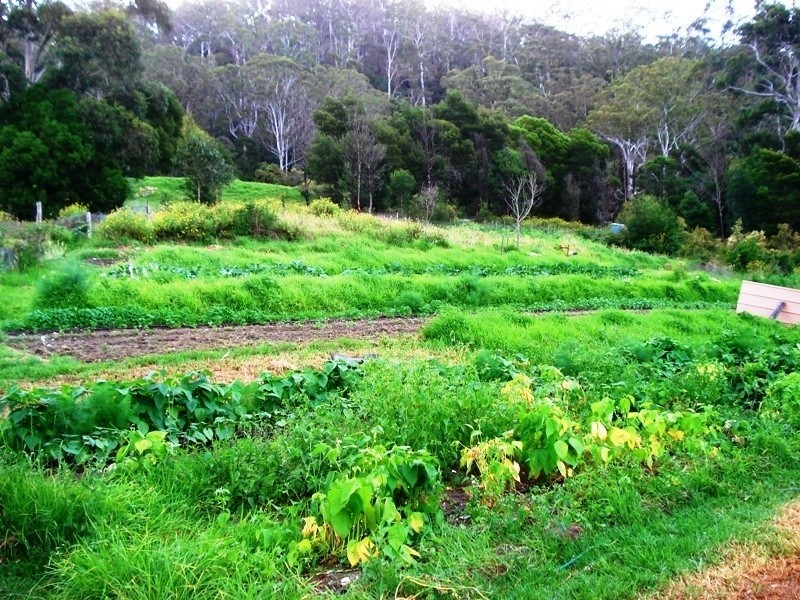 290 Quinlans Rd, Verona NSW 2550