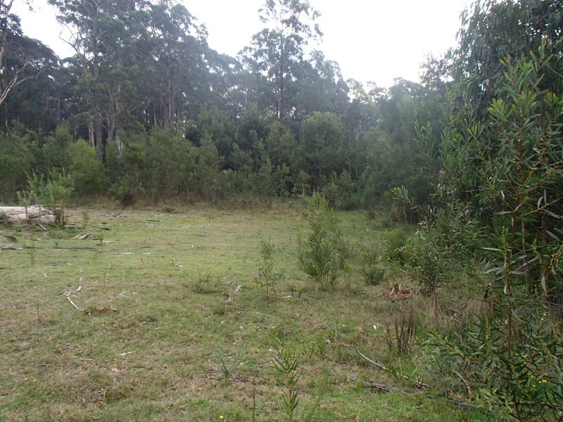 Lot 77 Redfern Close, South Pambula NSW 2549
