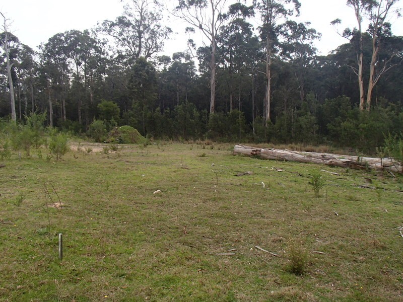 Lot 77 Redfern Close, South Pambula NSW 2549