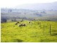 424 West Kameruka Rd, Bega NSW 2550