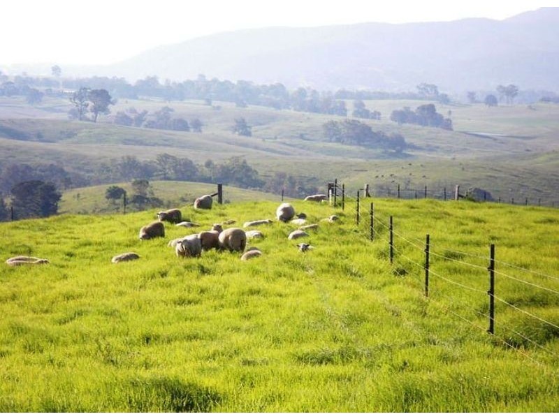 424 West Kameruka Rd, Bega NSW 2550