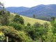 145 Buckley’s Rd, Bemboka NSW 2550