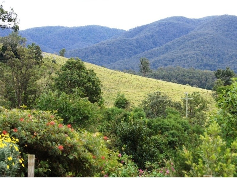 145 Buckley’s Rd, Bemboka NSW 2550