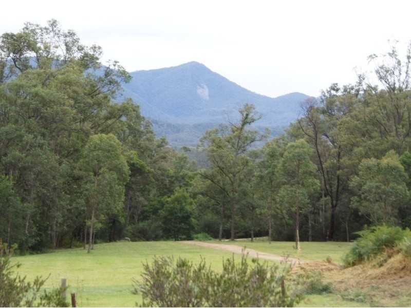 145 Buckley’s Rd, Bemboka NSW 2550