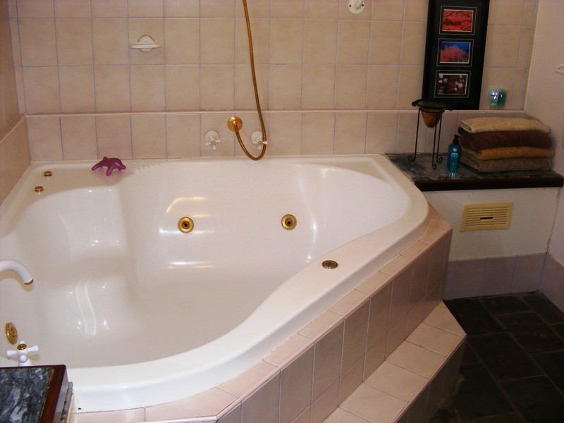 525 Candelo Wolumla Rd, Wolumla NSW 2550