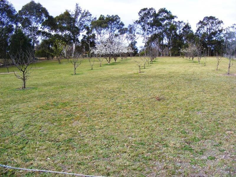 525 Candelo Wolumla Rd, Wolumla NSW 2550