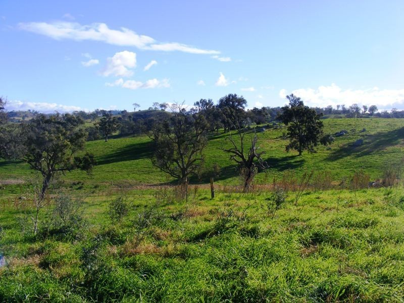 Lot 1 Herganhan’s Lane, Angledale NSW 2550