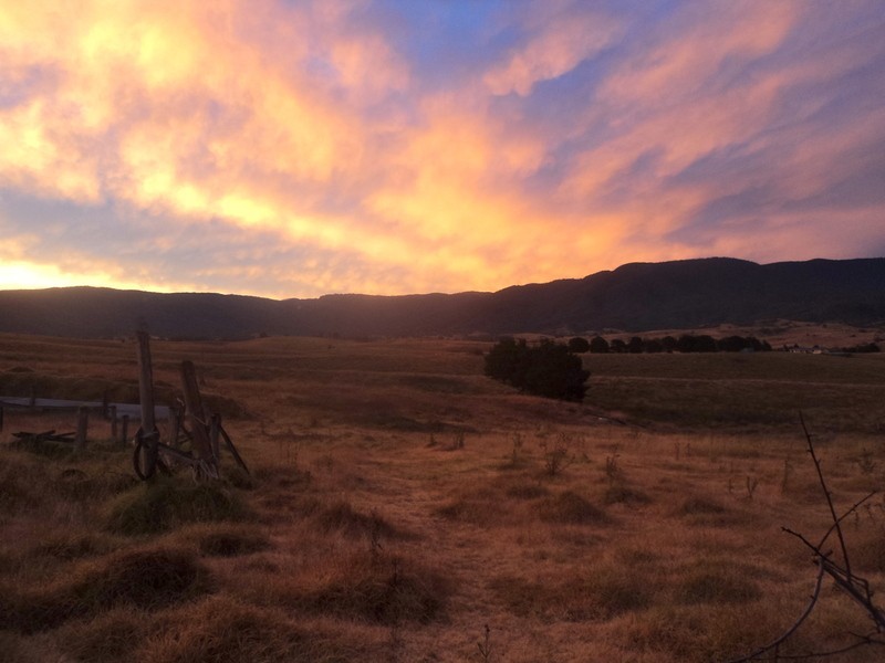 27 Parkes Steet, Bemboka NSW 2550