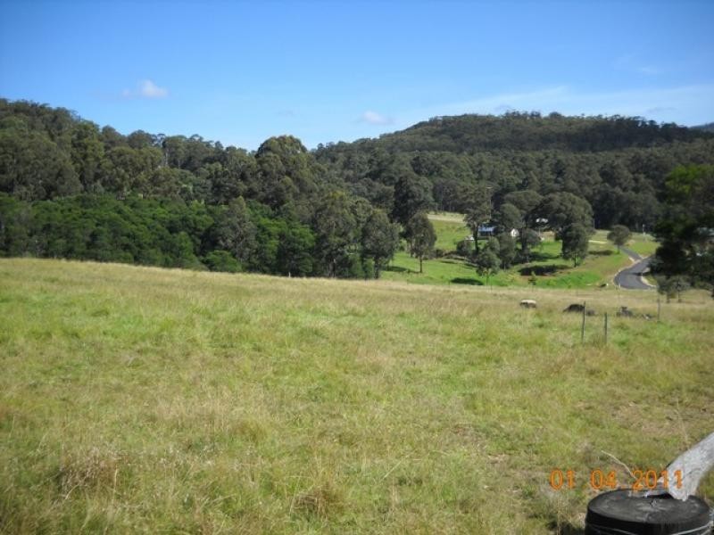 965 Back Creek Road, Nethercote NSW 2549