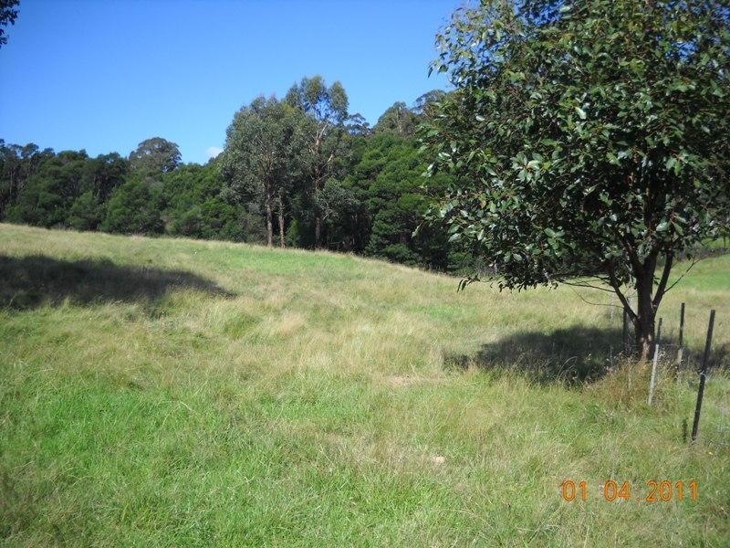 965 Back Creek Road, Nethercote NSW 2549