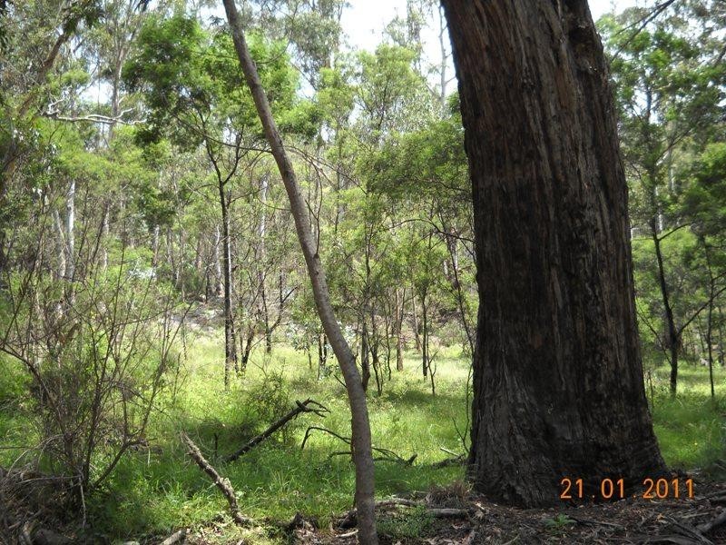 1241 Big Jack Mountain Road, Rocky Hall NSW 2550