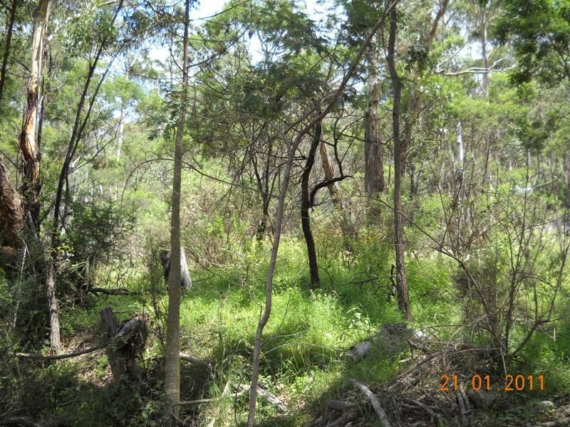 1241 Big Jack Mountain Road, Rocky Hall NSW 2550