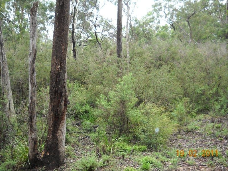 Lot 130 Fulligans Road, Pericoe NSW 2550