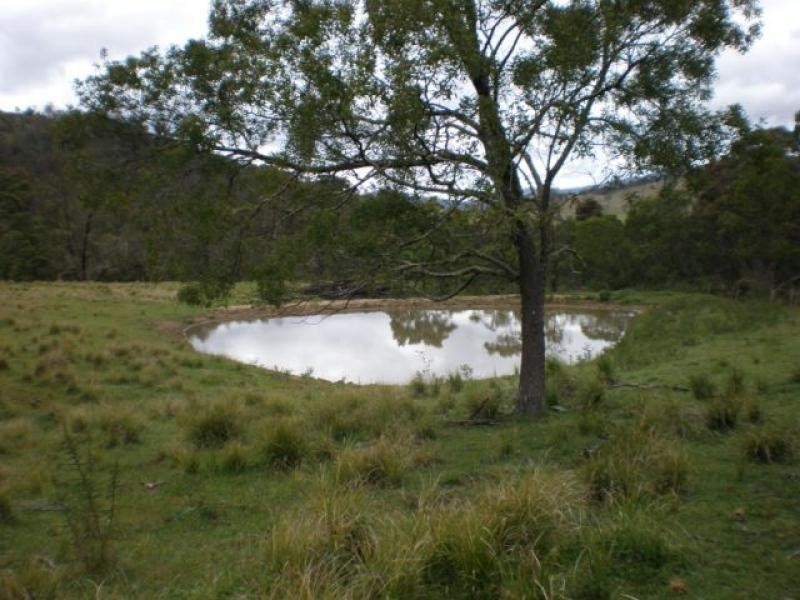 Lots 61 & 62 Mt Darragh Road, Wyndham NSW 2550