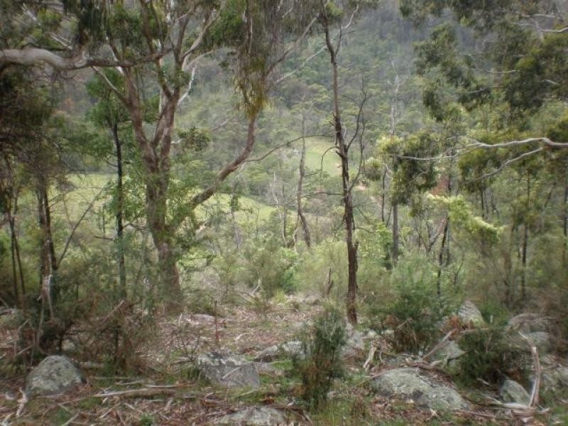 Lots 61 & 62 Mt Darragh Road, Wyndham NSW 2550