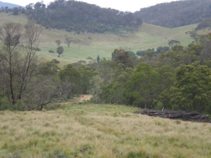 Lots 61 & 62 Mt Darragh Road, Wyndham NSW 2550