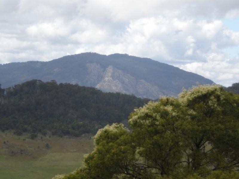 Lots 61 & 62 Mt Darragh Road, Wyndham NSW 2550