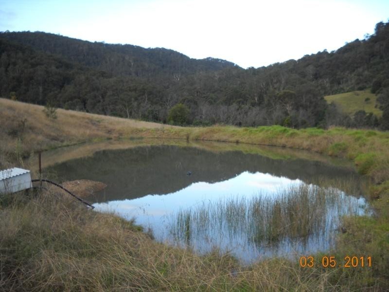 2903 Mt Darragh Road, Wyndham NSW 2550