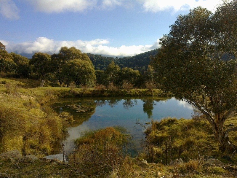 1368 Alpine Way, Crackenback NSW 2627