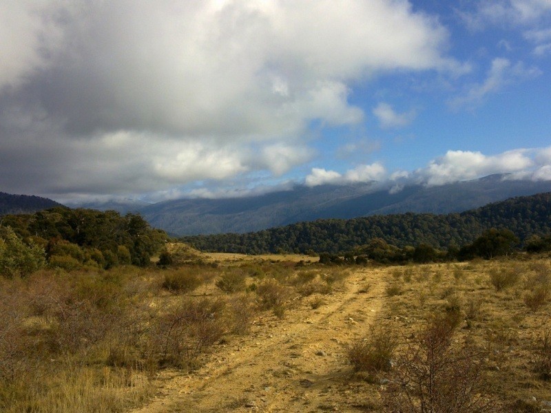 1368 Alpine Way, Crackenback NSW 2627