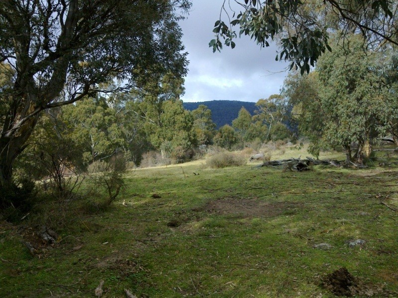 1368 Alpine Way, Crackenback NSW 2627