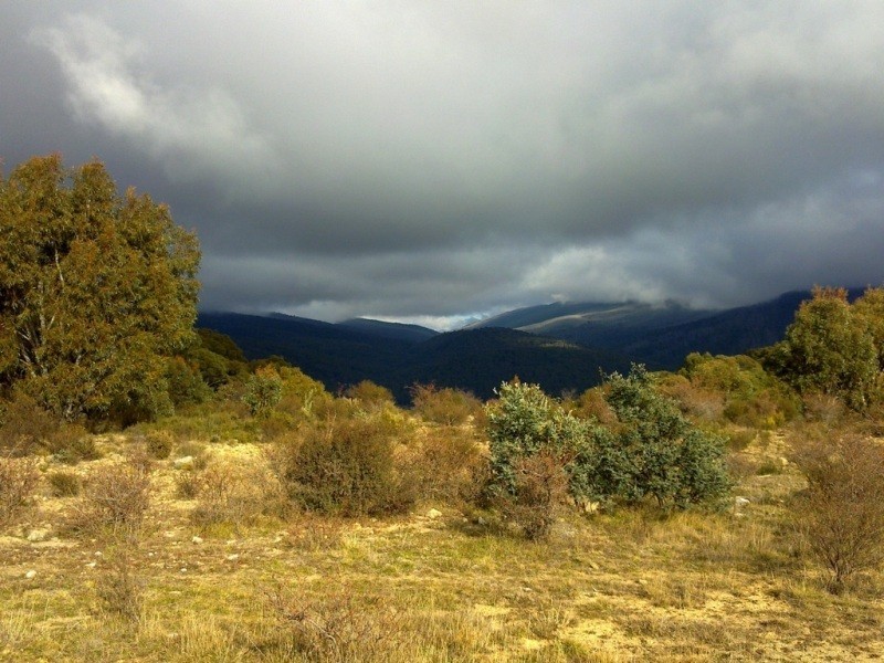 1368 Alpine Way, Crackenback NSW 2627