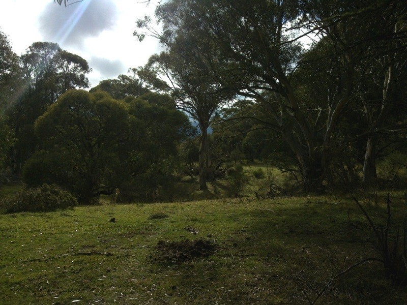 1368 Alpine Way, Crackenback NSW 2627