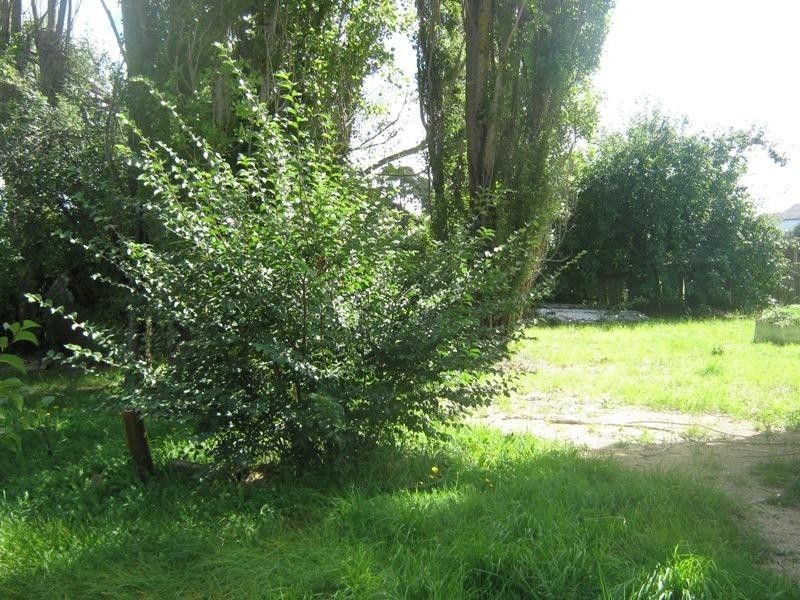 48 Bombala STREET, Nimmitabel NSW 2631