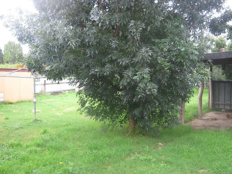 5 Campbell STREET, Cooma NSW 2630