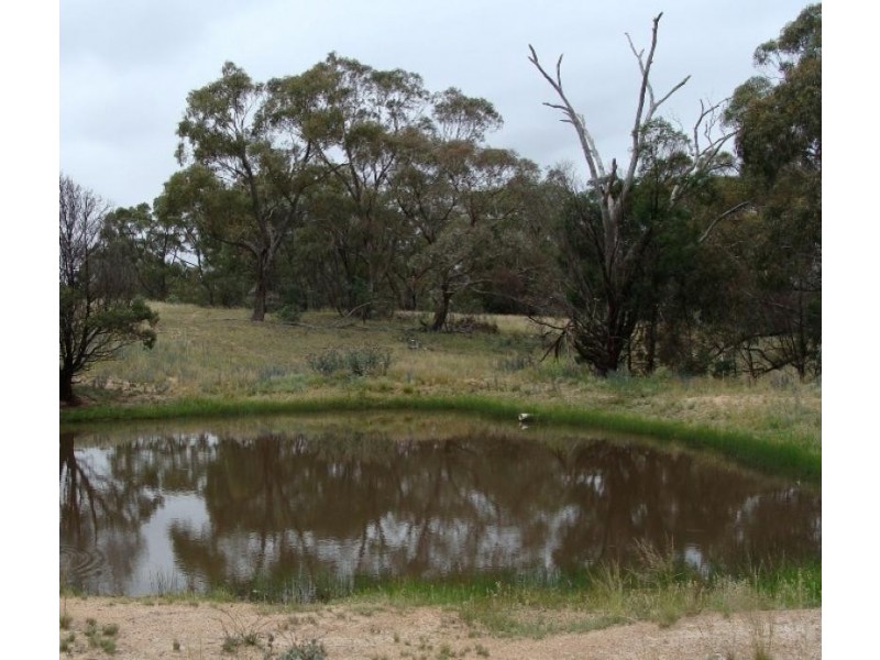 Lot 3 Ironmungie Road, Dalgety NSW 2628