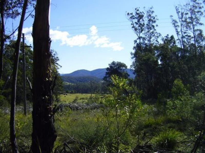 226 Mt Darragh Road, Wyndham NSW 2550