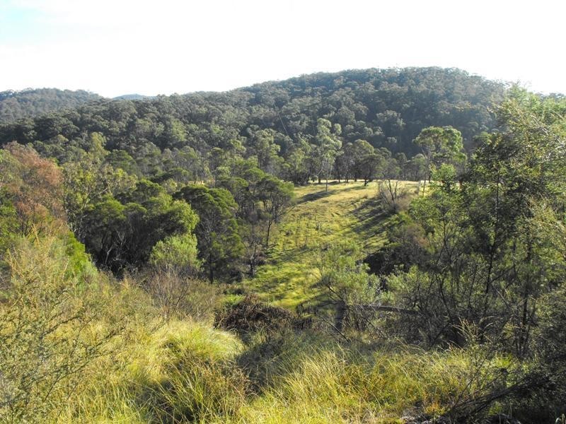 708 New Buildings ROAD, Wyndham NSW 2550