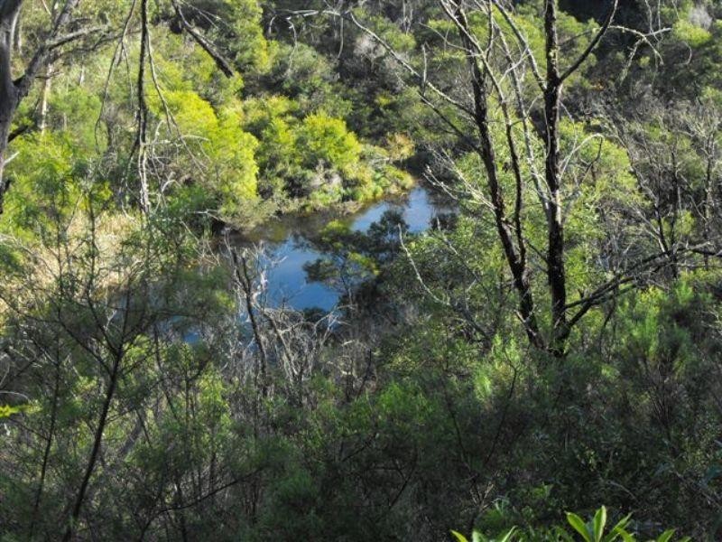 708 New Buildings ROAD, Wyndham NSW 2550