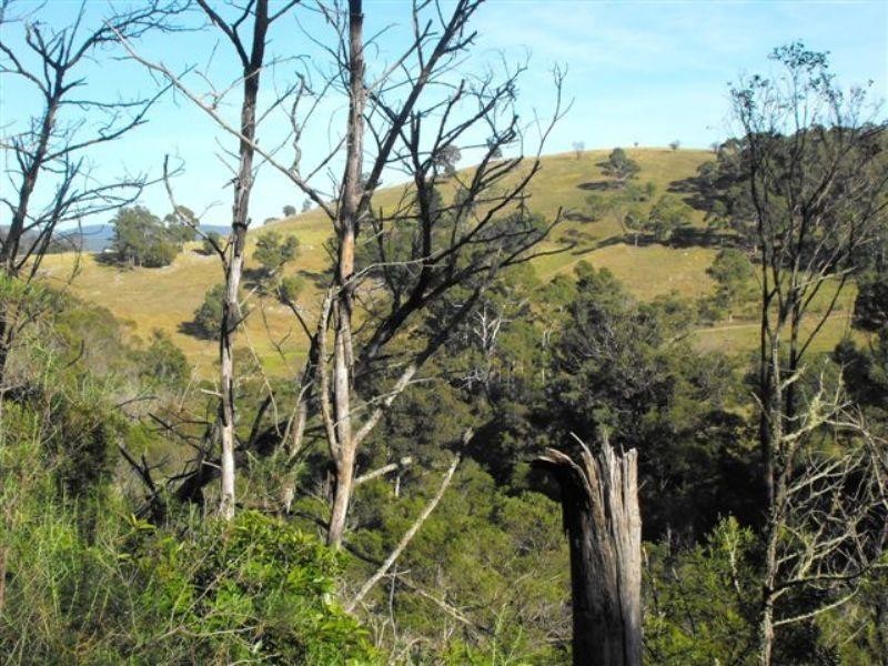 708 New Buildings ROAD, Wyndham NSW 2550