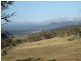 Lot 11 Mount Forest Road, Carlaminda NSW 2630