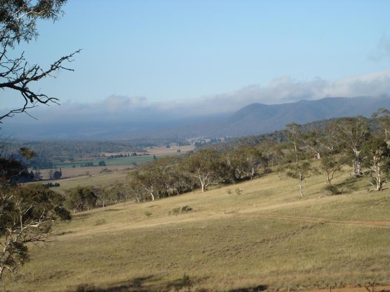 Lot 11 Mount Forest Road, Carlaminda NSW 2630