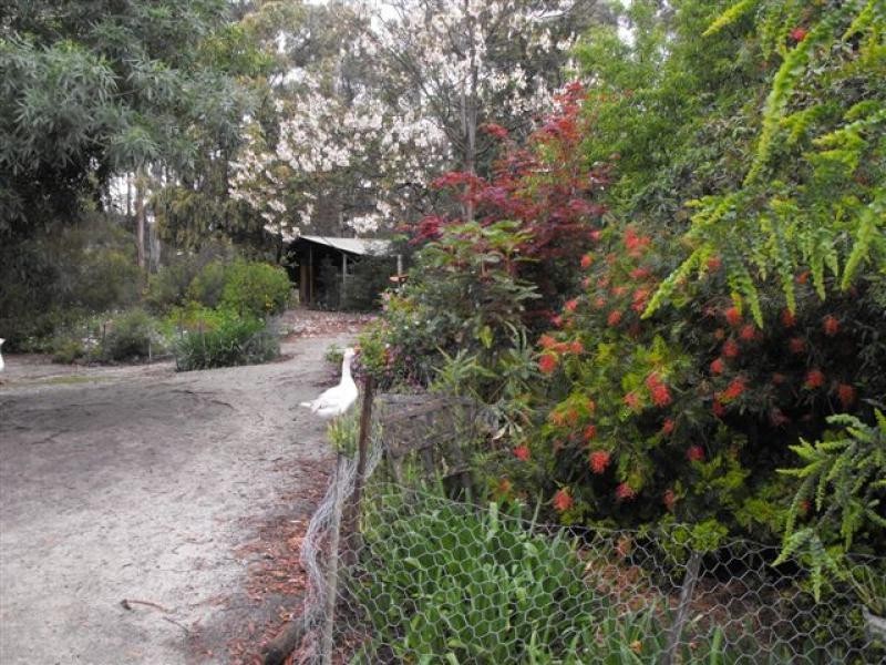 2 Penuca Road, Kalaru NSW 2550