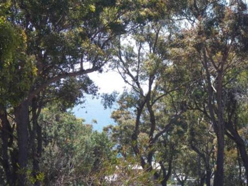 Lot 7 Rebecca Place, Tura Beach NSW 2548