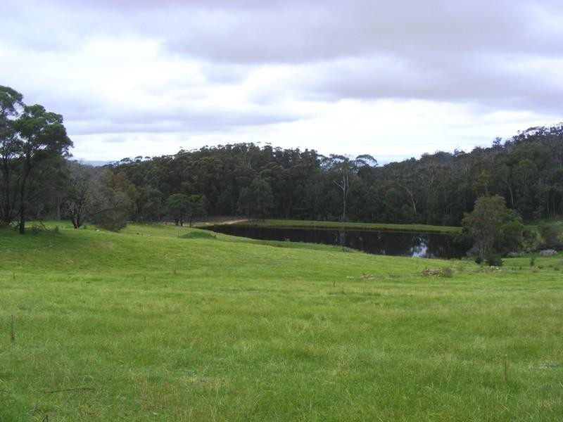 130 Abrams Rd, Doctor George Mountain NSW 2550