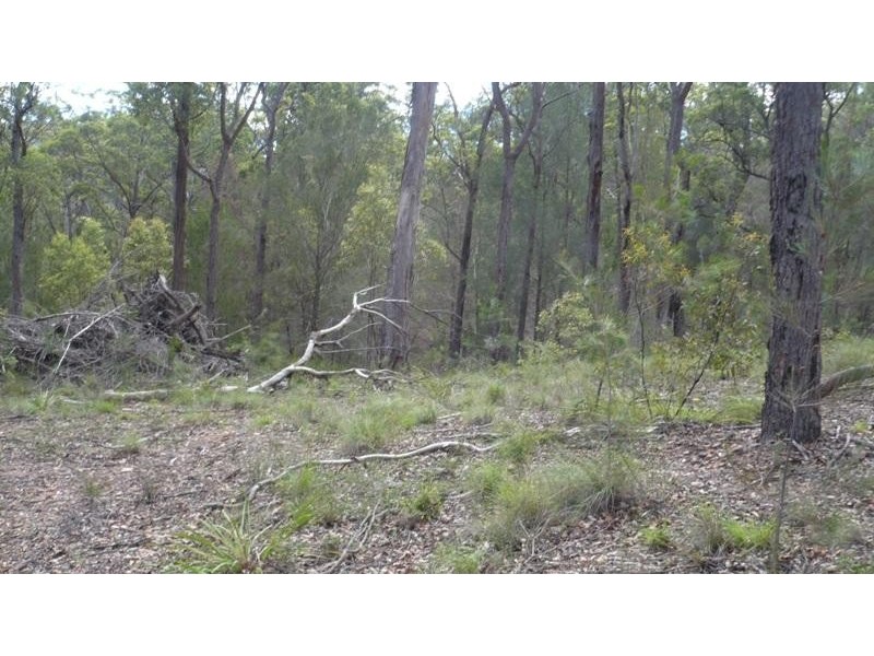 415 Substation Road, Millingandi NSW 2549