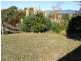 16 Candelo STREET, Candelo NSW 2550