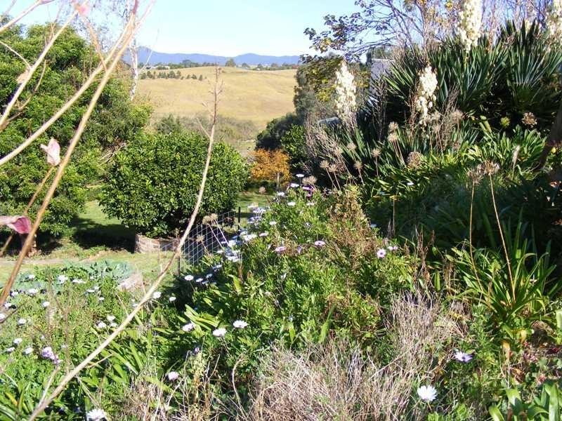 16 Candelo STREET, Candelo NSW 2550