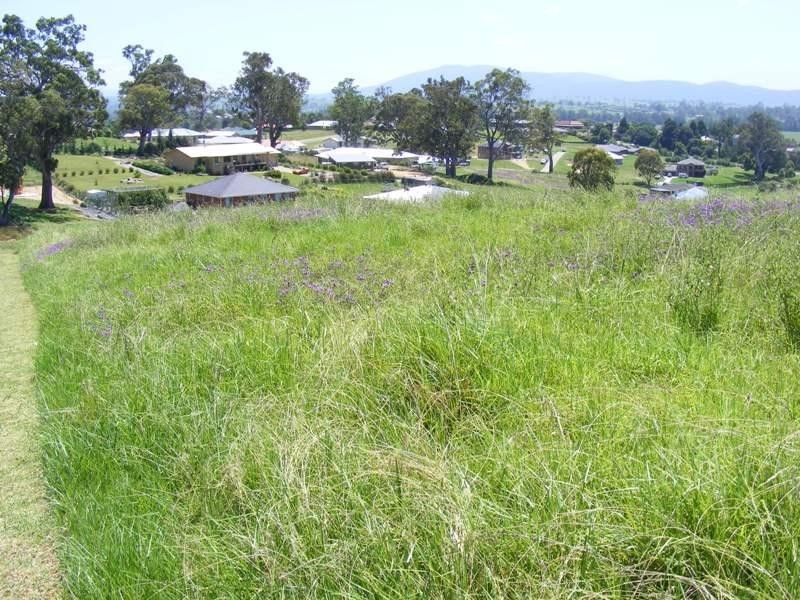 Lot 416 Glen Mia Drive, Bega NSW 2550
